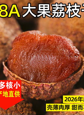 福建莆田荔枝干零食新货68A特级大果500g*2无熏硫农家特产荔枝肉