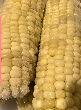 甜糯冻玉米穗种养结合非转基因绿色无化肥农药除草剂可任意做检测