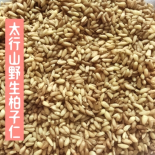 野生柏子仁，2025太行山新柏子仁，产自百年老树一份250克无硫熏