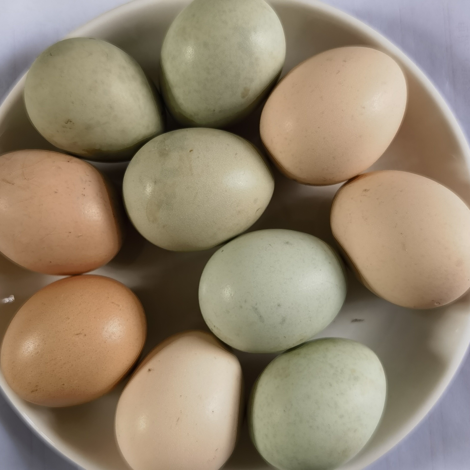 土鸡蛋散养笨鸡蛋柴鸡蛋粮食无激素色素抗生素孕妇孩子老人首选,水产肉类/新鲜蔬果/熟食,鸡蛋,淘宝优惠券,粉丝福利购,淘宝优惠卷