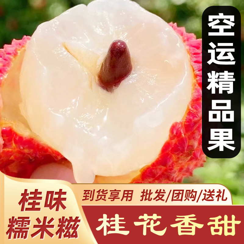 【空运特大果】增城桂味荔枝