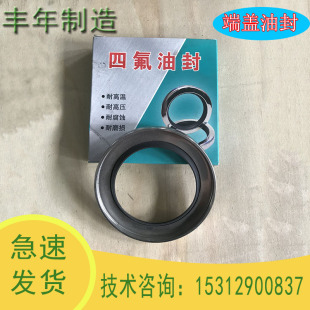 丰年制造zj罗茨真空泵配件大全四氟端盖油封抽气压力维修零件化工