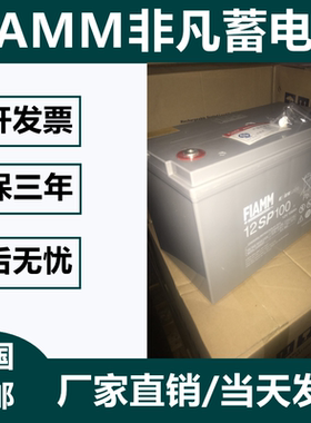 非凡蓄电池12V100AH铅酸免维12SP100护直流屏UPS/EPS电源专用