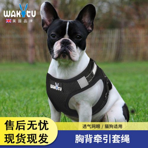 Wakytu英国户外伸缩遛狗绳 亚马逊尼龙发光猫咪牵引绳背心式狗链
