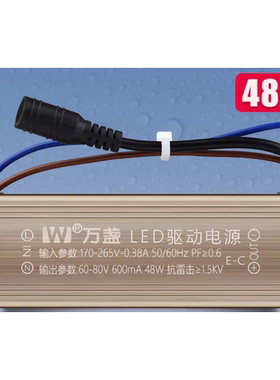 万盏集成吊顶超薄平板灯电源驱动器恒流driver镇流器12W24W38W48W