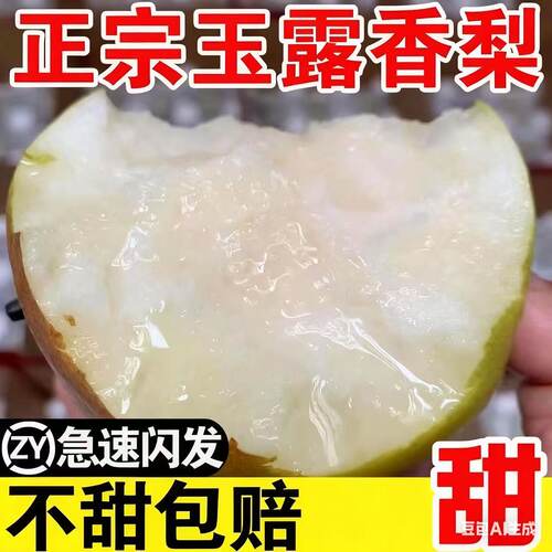 2025新果正宗玉露香梨脆嫩多汁