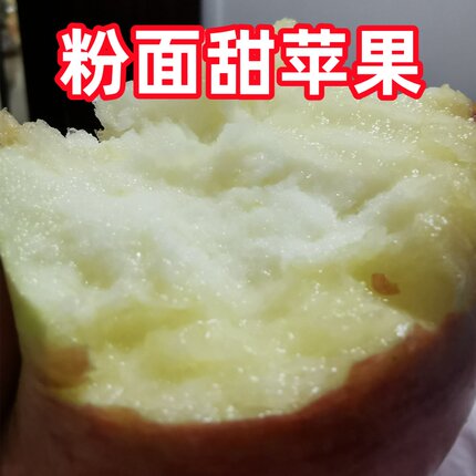 现货新果粉面沙甜新鲜红秦沙甜糯宝宝刮果泥婴儿老年人吃新鲜苹果
