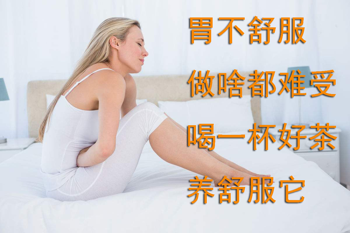 養輔胃茶長白山丁香茶胃脹氣胃酸胃寒調理腸胃食品暖胃茶杏園茶語