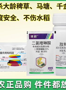 敌稗 二氯喹啉酸 水稻旱稻田大龄抗性稗草千金马唐抗性青稗除草剂