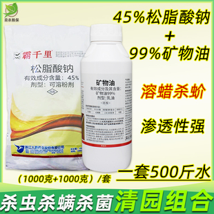 果树果园清园专用农药清园剂组合矿物油松脂酸钠蚧壳虫杀虫剂正品