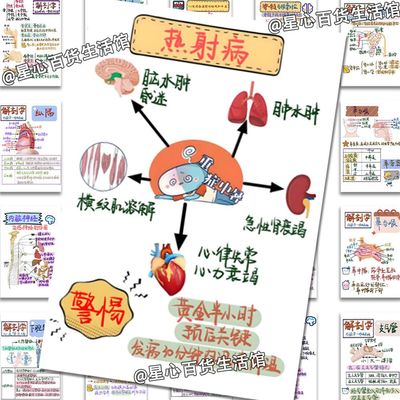 手写解剖医学手账贴纸神奇贴画