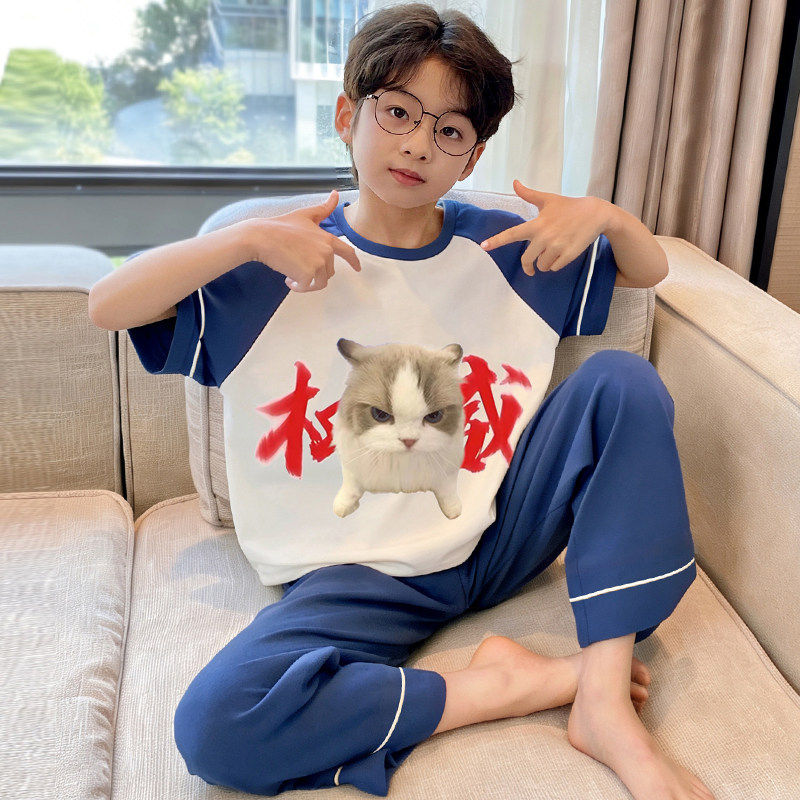 男童睡衣短袖纯棉卡通可爱夏季全棉短袖长裤男孩家居服中大童男生