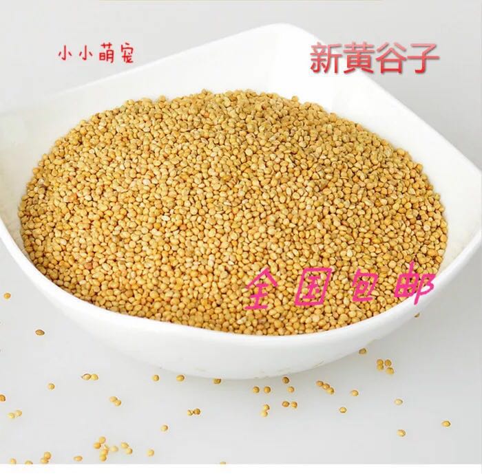 特價促銷鹦鹉鳥食鳥飼料天然食品粒粒谷子1500克未脫殼小米在類目 寵物/寵物食品及用品, 鳥類及用品, 鳥食中 - 來自Buy2taobao.com提供專業的淘寶代購服務