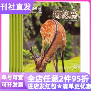 小聪仔自然科普版杂志婴儿幼儿版期刊2026年征订阅刊全年12期2-3-4-5-6岁读过刊动植物课外书亲子共读启蒙版游戏互动科学启蒙