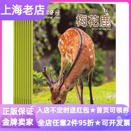 小聪仔自然科普版杂志期刊3-7岁