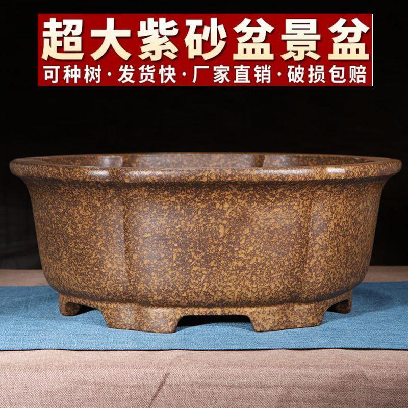 宜兴紫砂花盆景盆全手工仿古柴烧窑变海棠形腊梅杜鹃花卉绿植盆景