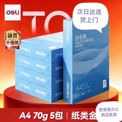 得力白令海A4打印纸70克500张*5包一箱双面复印纸办公用纸