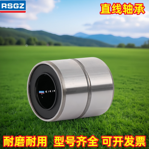 RSGZ耐磨耐用精密短型直线轴承 LMUT LMUD 6 8 10 12 16 20 25 30