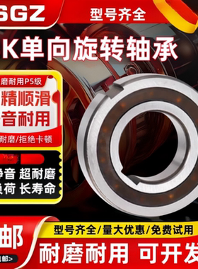 RSGZ单向轴承 CSK 6000 6001 6002 6003 6004 6005 6006 6007 PP