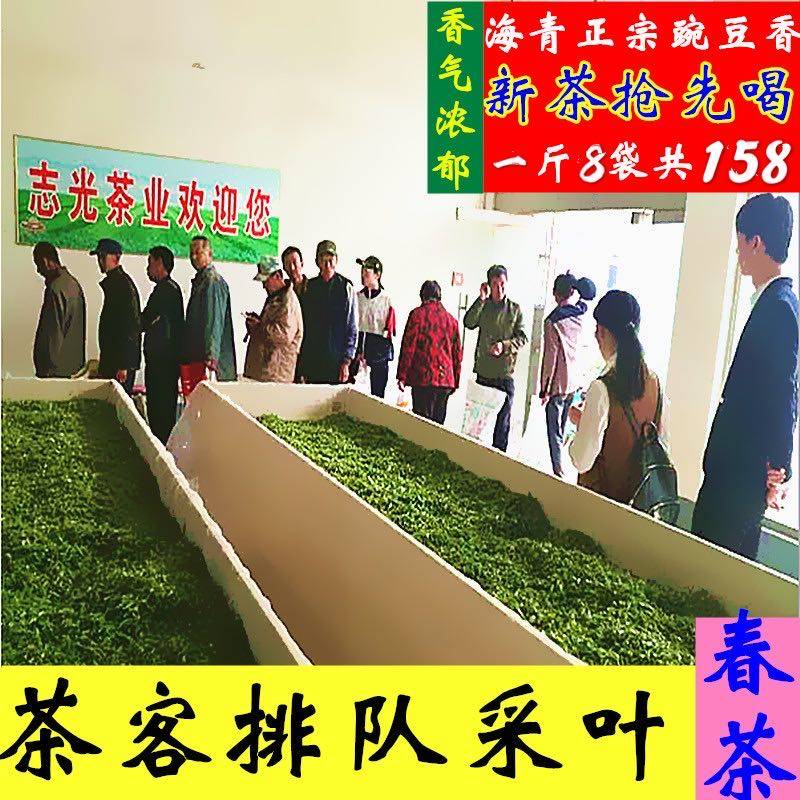 正宗海青特产 2026年新茶 明前春茶 绿茶叶 散装炒青500散装包邮图片
