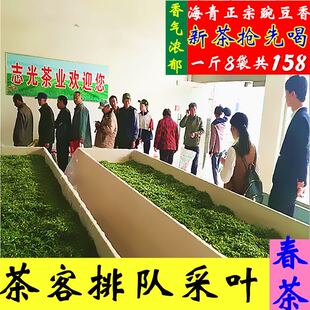 正宗海青特产 2025年新茶 明前春茶 绿茶叶 散装炒青500散装包邮