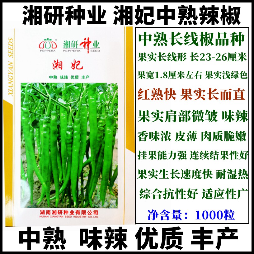 湘研辣椒种子湘妃中熟长线椒味辣香味浓皮薄果实长而直耐湿热
