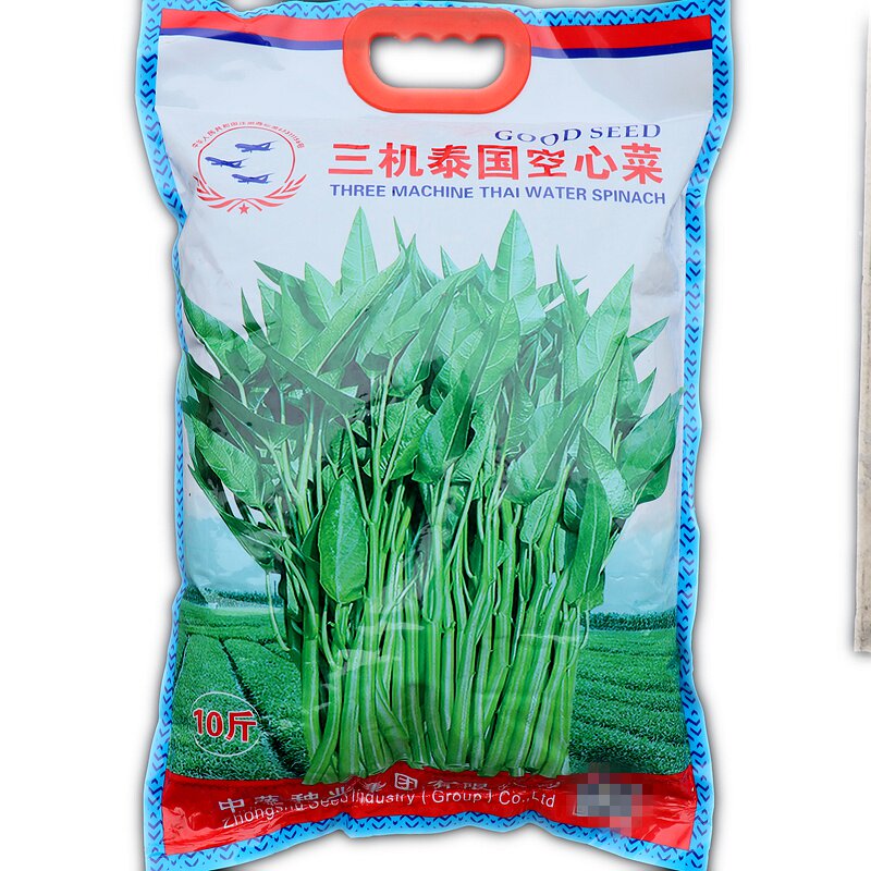 空心菜种子春夏秋三季播种