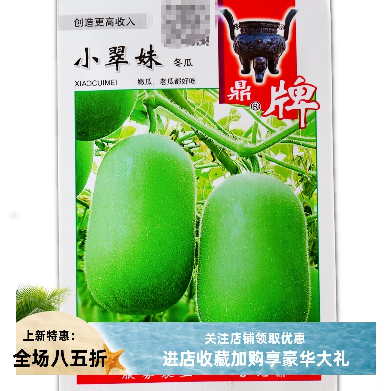 鼎牌冬瓜原种早熟五叶米冬瓜小翠妹长圆形绿春小冬瓜青绿色早熟