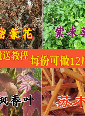 广西特产五色糯米饭花米饭天然植物染料红紫蓝草五彩米蓝橙紫黄