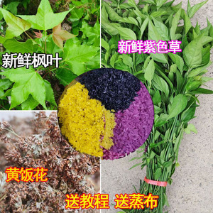 五色糯米饭植物染料蓝绿色糯米饭广西贵州云南密蒙花蓝绿橙黄玫红
