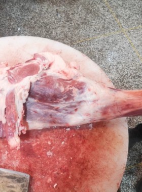 整条羊后腿羊羔肉烤肉烧烤新鲜