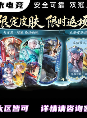 公孙离祈雪灵祝寒羽凝歌时雨天岁灵司星元澜雾影狼魂无双皮肤