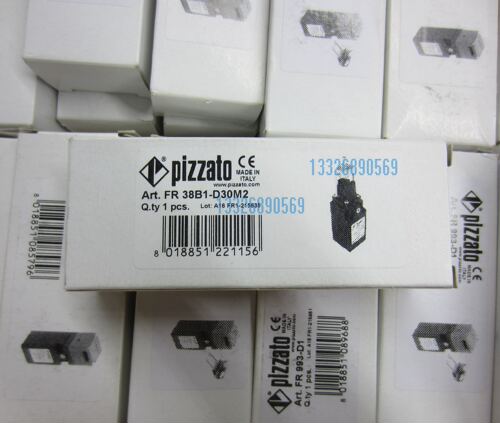 Pizzato FR38B1-D30M2 电梯保护门开关