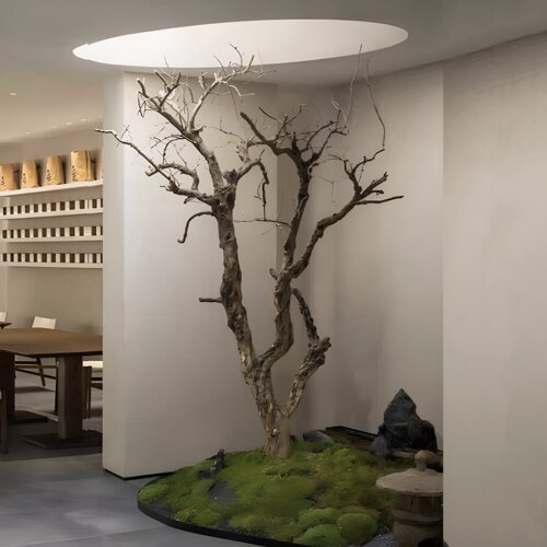 仿真枯树枝干造景大型造型树装饰树天然枯木室内外庭院原木景观