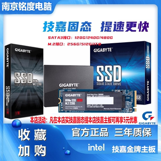 替影驰/技嘉120G 256G 480G 500G猛快盘M.2 NVME PCI 3.0固态硬盘