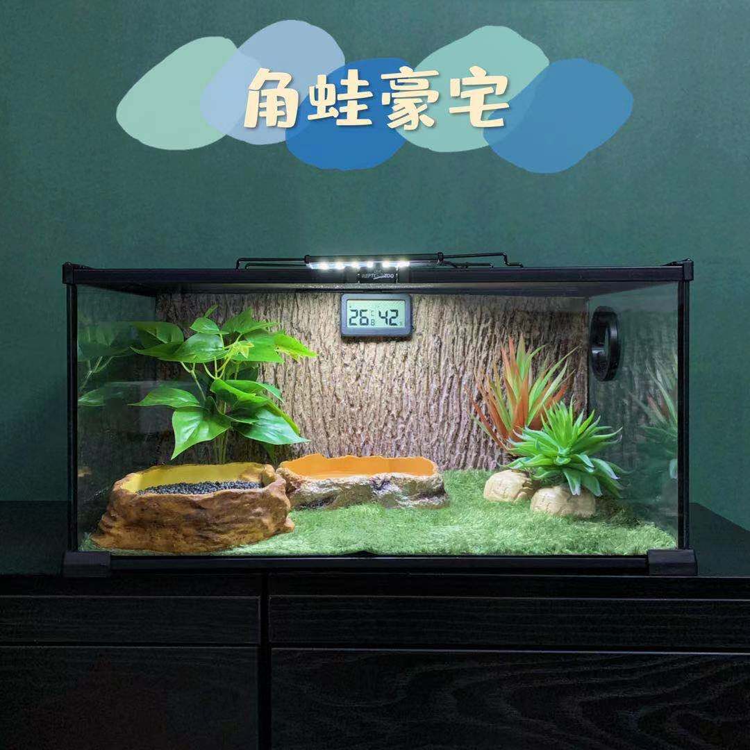 角蛙爬宠爬虫莫斯地毯树皮造景干湿分离养蛙玻璃饲养缸套装