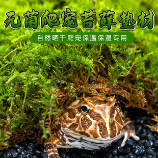 爬宠饲养箱生态装饰苔藓保湿巴西乌龟冬眠用品垫材土角蛙爬虫垫材