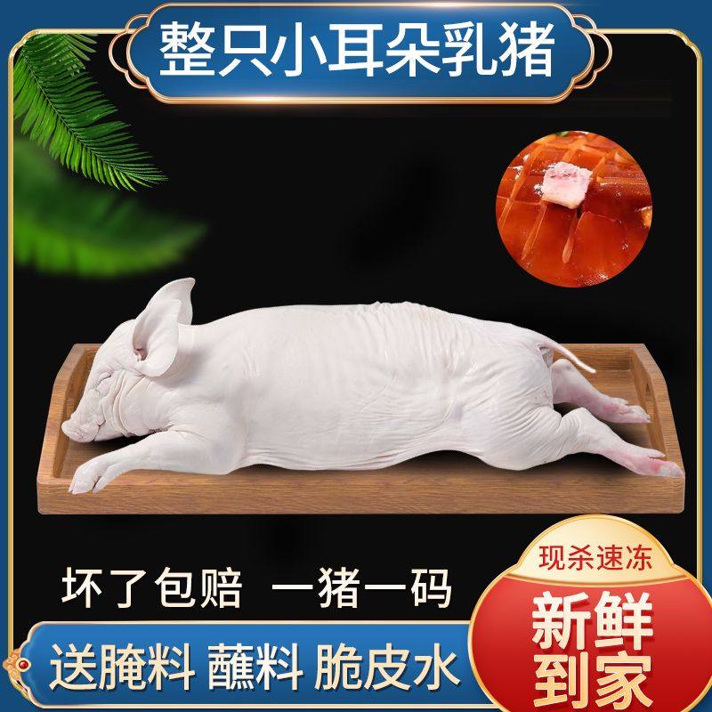 乳猪整只小香猪现杀新鲜冷冻小耳广式脆皮宴席烧烤祭祖食材2-40斤,水产肉类/新鲜蔬果/熟食,生猪肉,淘宝优惠券,粉丝福利购,淘宝优惠卷