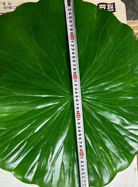 仿真荷叶餐厅菜装饰摆盘叶子绿色塑料烧烤海鲜水果垫道具餐饮肉串