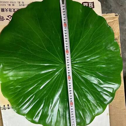 仿真荷叶餐厅菜装饰摆盘叶子绿色塑料烧烤海鲜水果垫道具餐饮肉串