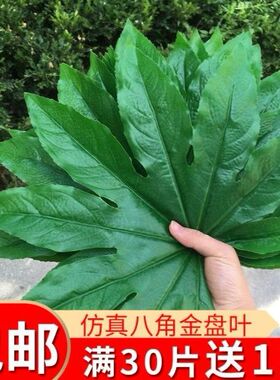 仿真假叶子绿叶子八角金盘树叶水果店装饰垫篮葡萄叶塑料过胶叶