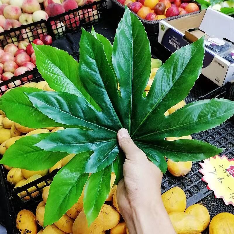 仿真八角金盘叶子水果装饰假树叶塑料单片假绿叶水果摊篮垫底叶子
