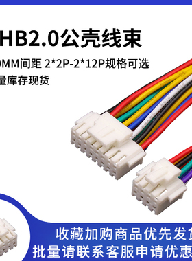 PHB2.0mm双排带扣插头端子线 2*2p3p4p6p7p8p-12P单头双头连接线