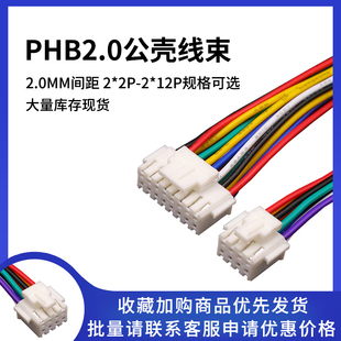 12P单头双头连接线 2p3p4p6p7p8p PHB2.0mm双排带扣插头端子线