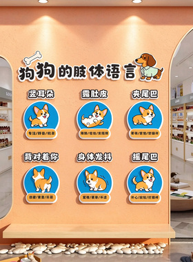 网红猫狗咖店面装饰宠物店文化墙