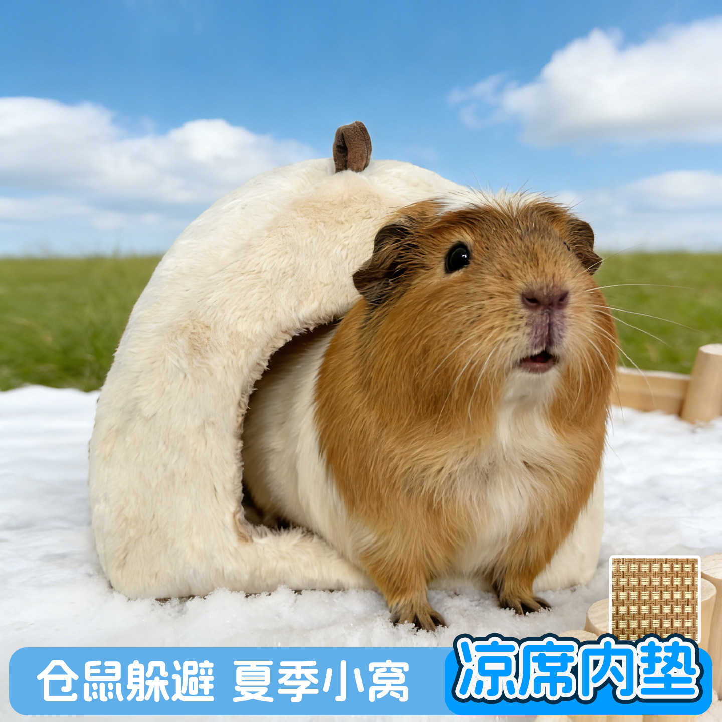 大型鼠花枝鼠豚鼠夏季凉席窝仓鼠躲避屋仿兔绒金丝熊窝睡觉窝棉窝