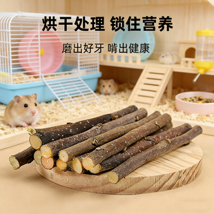 仓鼠磨牙棒苹果枝甜竹金丝熊烘干苹果木树枝兔子荷兰猪可食用零食