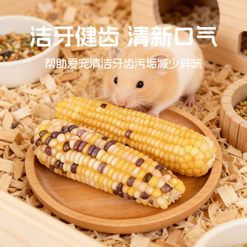 仓鼠磨牙玉米可食用解闷玩具