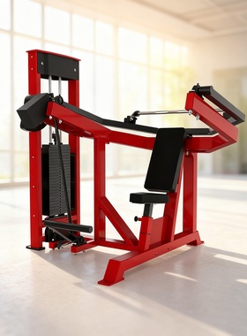 SELECTORIZED OVERHEAD TRICEP EXTENSION头顶三头肌伸展器三头肌