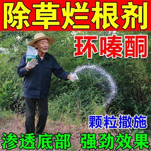环嗪哃酮烂根除杂罐除杂草剂正品竹子专用药除草烂根剂杂罐颗粒药